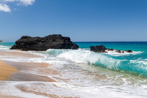 Breaking Surf II Black Ornate Wood Framed Art Print with Double Matting by Head, Danny