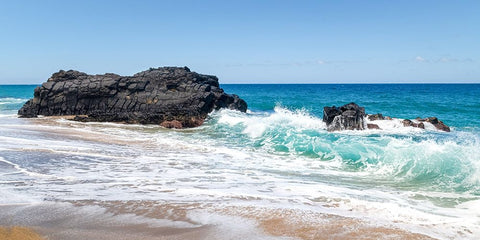 Breaking Surf IV Black Ornate Wood Framed Art Print with Double Matting by Head, Danny