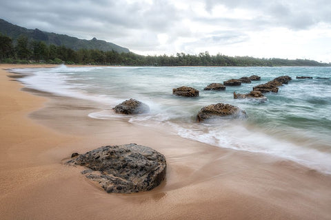 Anahola III Black Ornate Wood Framed Art Print with Double Matting by Head, Danny