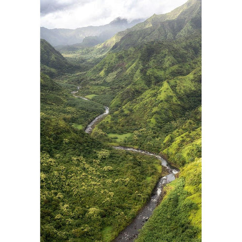 Hanalei Valley I Black Modern Wood Framed Art Print by Head, Danny