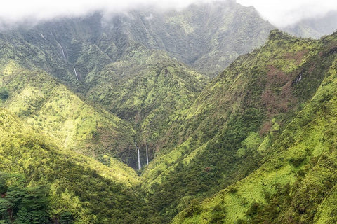 Tropical Valley White Modern Wood Framed Art Print with Double Matting by Head, Danny