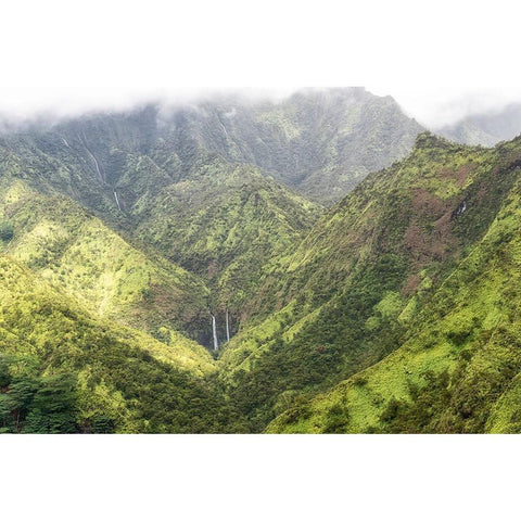 Tropical Valley Black Modern Wood Framed Art Print with Double Matting by Head, Danny