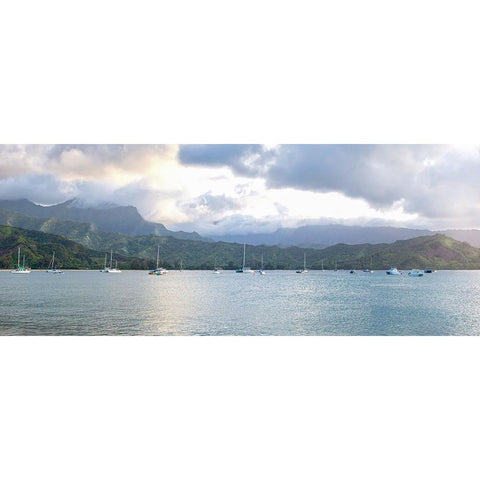 Hanalei Pano I Black Modern Wood Framed Art Print by Head, Danny