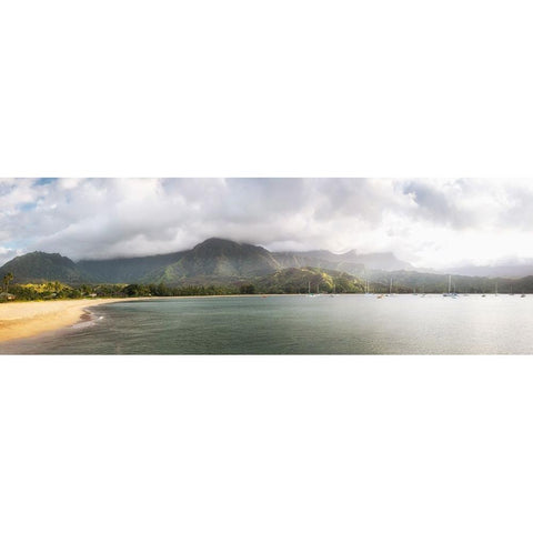 Hanalei Pano II White Modern Wood Framed Art Print by Head, Danny