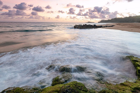 Secret Beach II White Modern Wood Framed Art Print with Double Matting by Head, Danny