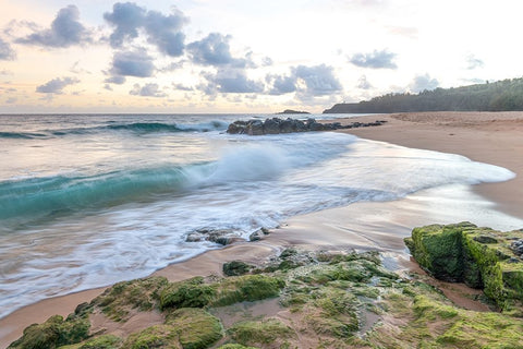 Secret Beach III Black Ornate Wood Framed Art Print with Double Matting by Head, Danny