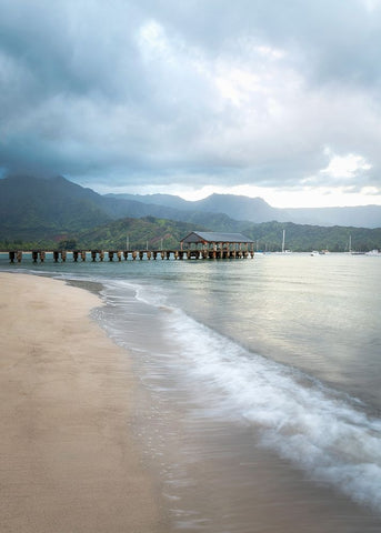 Hanalei Pier I Black Ornate Wood Framed Art Print with Double Matting by Head, Danny