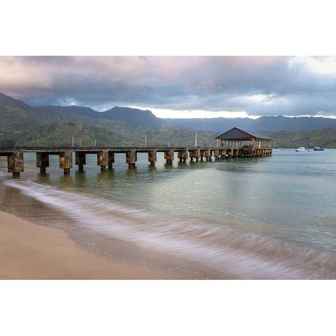 Hanalei Pier II Black Modern Wood Framed Art Print by Head, Danny