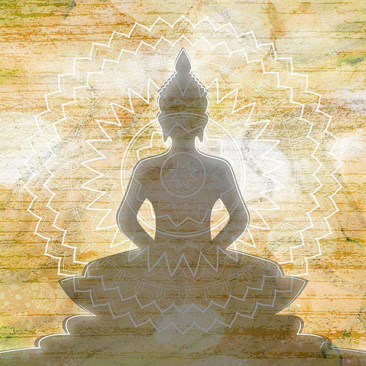 Image Only