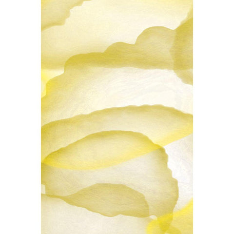 Yellow Paper White Modern Wood Framed Art Print by Aesthete