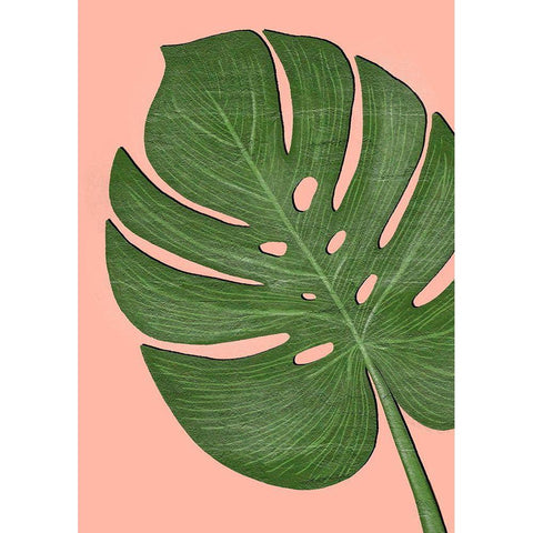 Exotic Leaf One White Modern Wood Framed Art Print by Aesthete