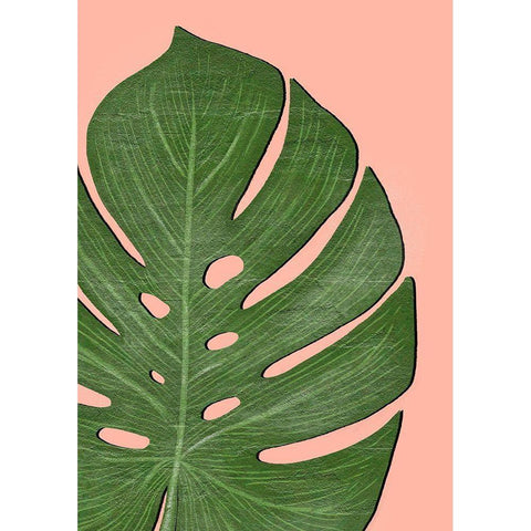 Exotic Leaf Two Black Modern Wood Framed Art Print with Double Matting by Aesthete