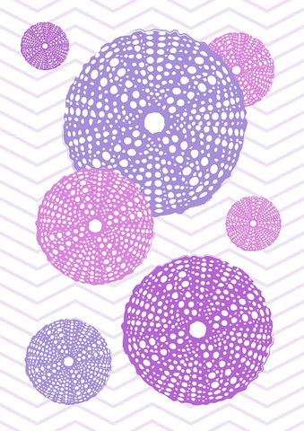 Purple Urchins White Modern Wood Framed Art Print with Double Matting by Aesthete