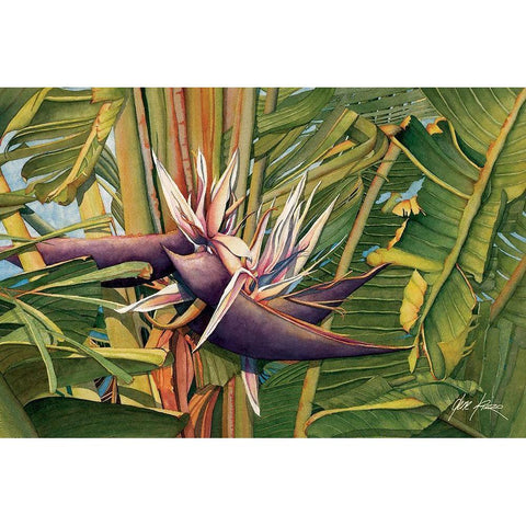 Bird Of Paradise Black Modern Wood Framed Art Print with Double Matting by Rizzo, Gene