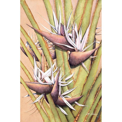 White Bird Of Paradise Black Modern Wood Framed Art Print with Double Matting by Rizzo, Gene