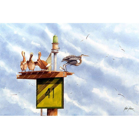 Pelican Roost Black Modern Wood Framed Art Print with Double Matting by Rizzo, Gene