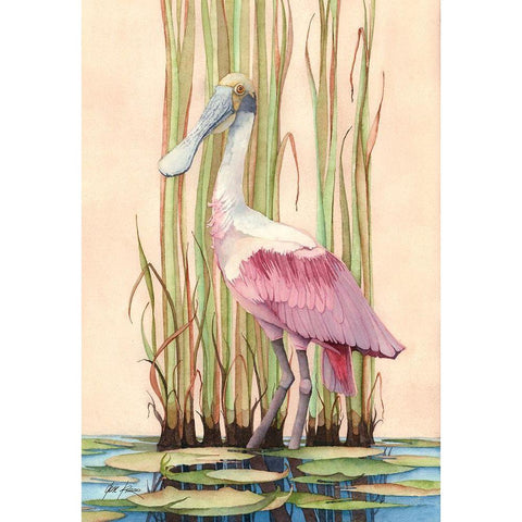 Roseate Spoonbill White Modern Wood Framed Art Print by Rizzo, Gene