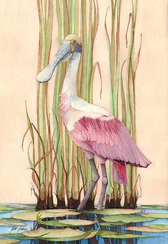 Roseate Spoonbill White Modern Wood Framed Art Print with Double Matting by Rizzo, Gene