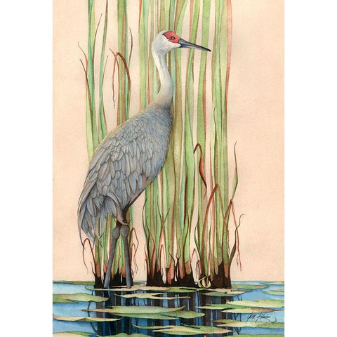 Sandhill Crane Black Modern Wood Framed Art Print with Double Matting by Rizzo, Gene