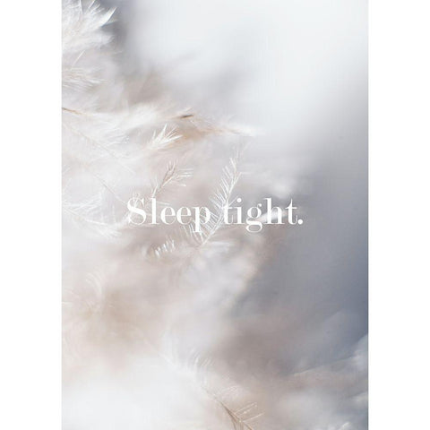 Sleep Tight Feathers Black Modern Wood Framed Art Print with Double Matting by Mi, Suki