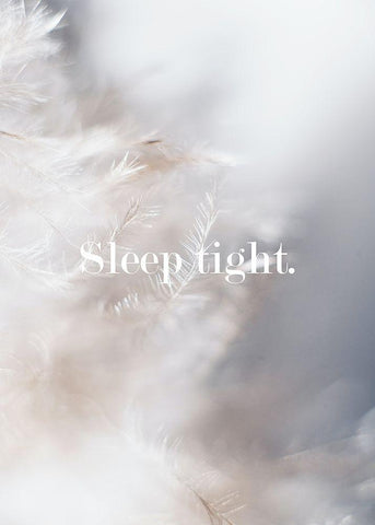 Sleep Tight Feathers White Modern Wood Framed Art Print with Double Matting by Mi, Suki