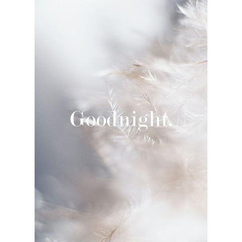 Goodnight Feathers White Modern Wood Framed Art Print by Mi, Suki