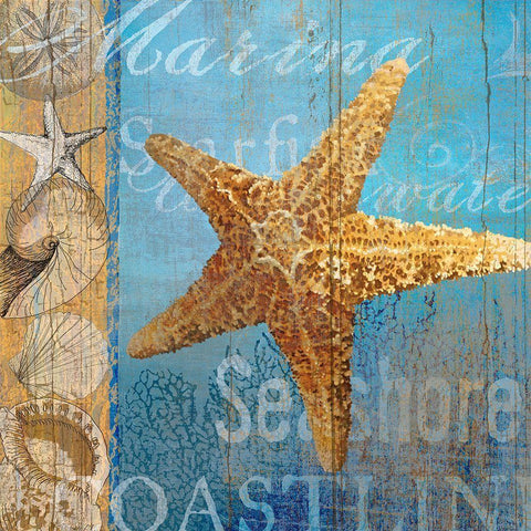 Starfish and sea White Modern Wood Framed Art Print with Double Matting by Art Licensing Studio