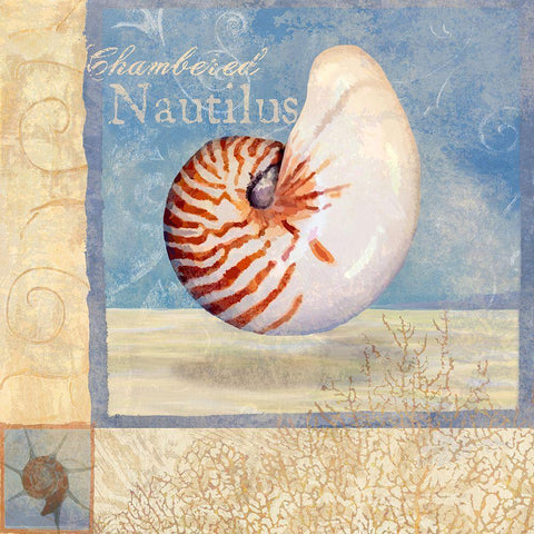 Ocean Beauties V Black Ornate Wood Framed Art Print with Double Matting by Art Licensing Studio