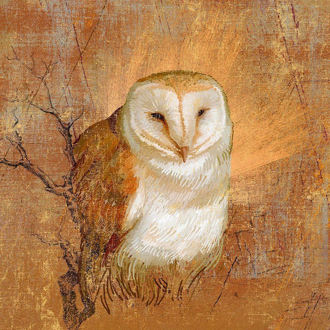 Owl in the wood White Modern Wood Framed Art Print by Art Licensing Studio