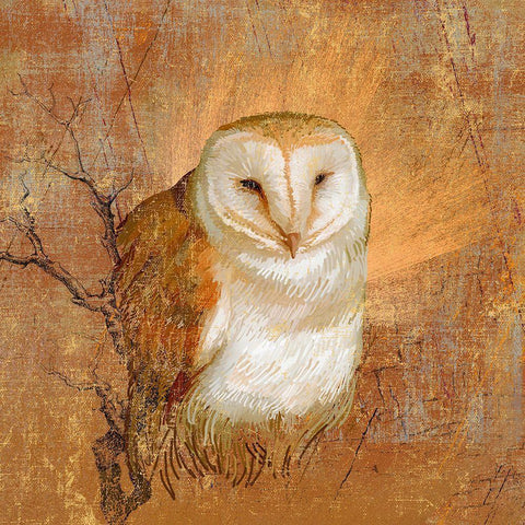 Owl in the wood White Modern Wood Framed Art Print with Double Matting by Art Licensing Studio