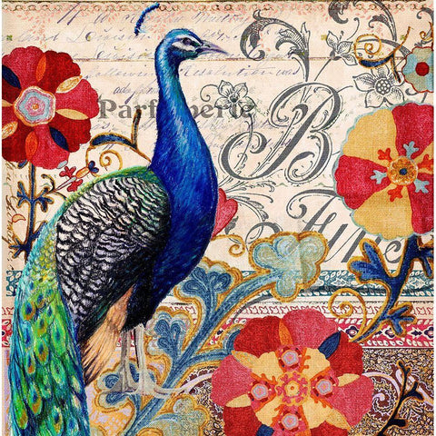 Peacock Decore I Gold Ornate Wood Framed Art Print with Double Matting by Art Licensing Studio