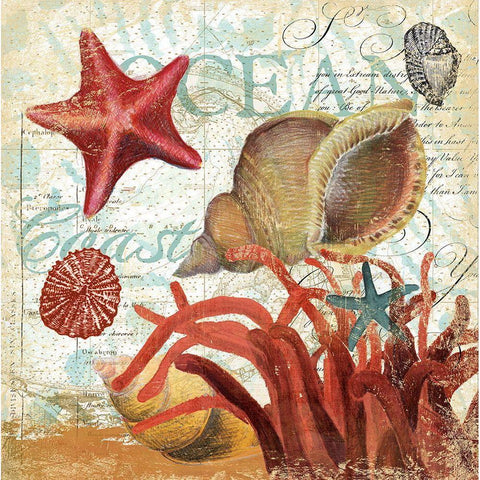 Shell Collector 1I White Modern Wood Framed Art Print by Art Licensing Studio