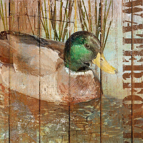 Open Season Mallard White Modern Wood Framed Art Print with Double Matting by Art Licensing Studio