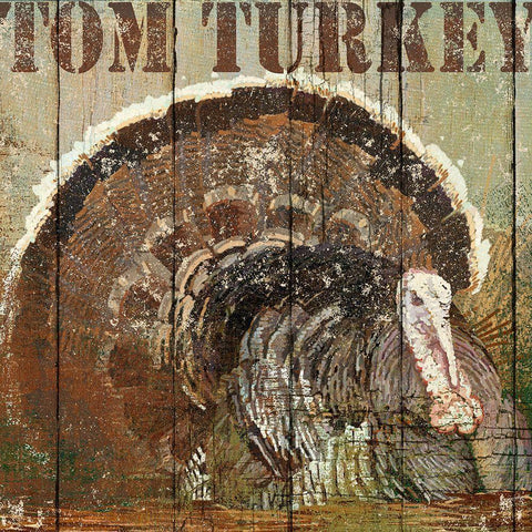 Open Season Turkey White Modern Wood Framed Art Print with Double Matting by Art Licensing Studio