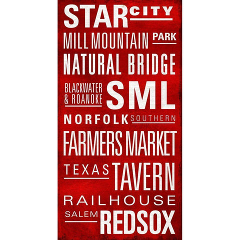 Star City Text Black Modern Wood Framed Art Print with Double Matting by Art Licensing Studio