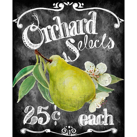 Orchard Selects Black Modern Wood Framed Art Print with Double Matting by Art Licensing Studio