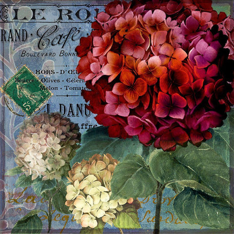 Rouge From the Garden I Black Ornate Wood Framed Art Print with Double Matting by Art Licensing Studio