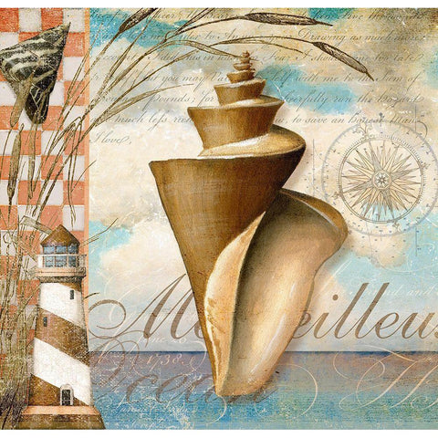 Shell Dreams 1 Gold Ornate Wood Framed Art Print with Double Matting by Art Licensing Studio