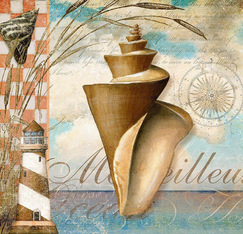 Shell Dreams 1 White Modern Wood Framed Art Print with Double Matting by Art Licensing Studio