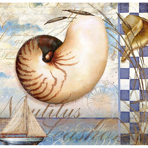 Shell Dreams 2 Gold Ornate Wood Framed Art Print with Double Matting by Art Licensing Studio