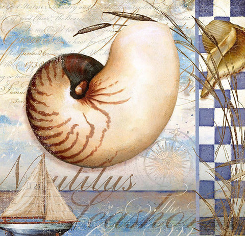 Shell Dreams 2 White Modern Wood Framed Art Print with Double Matting by Art Licensing Studio