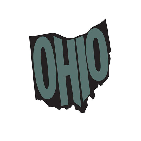 Ohio White Modern Wood Framed Art Print by Art Licensing Studio