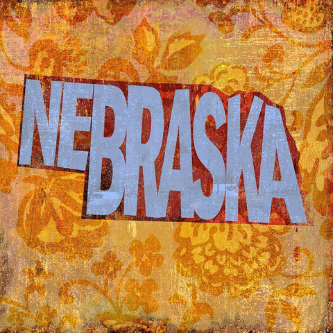 Nebraska Black Modern Wood Framed Art Print with Double Matting by Art Licensing Studio