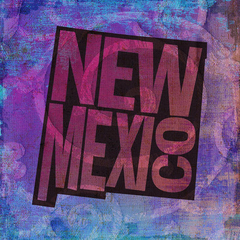 New Mexico White Modern Wood Framed Art Print by Art Licensing Studio