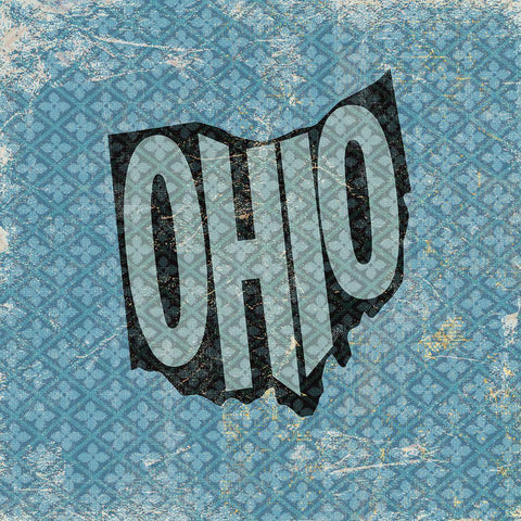 Ohio White Modern Wood Framed Art Print by Art Licensing Studio