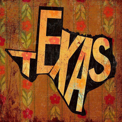 Texas Black Modern Wood Framed Art Print with Double Matting by Art Licensing Studio