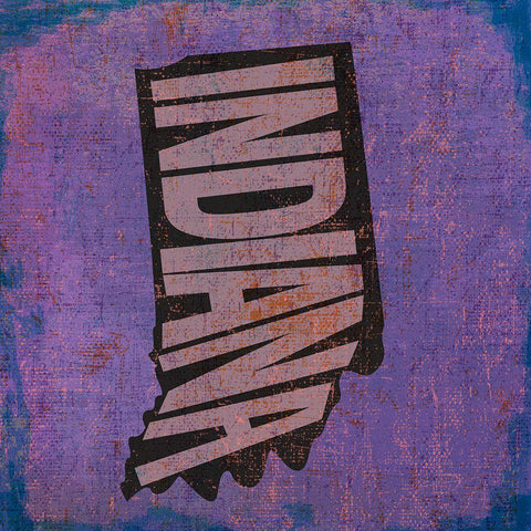 Indiana White Modern Wood Framed Art Print with Double Matting by Art Licensing Studio