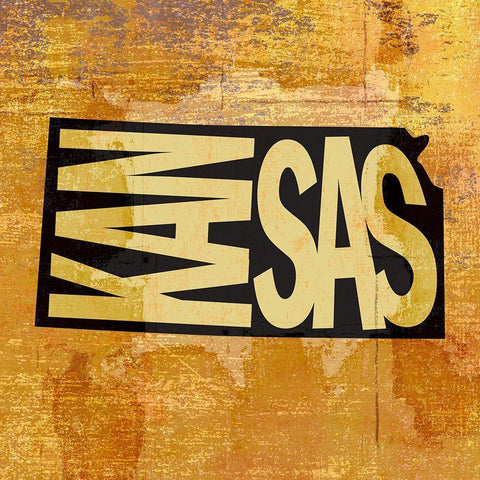 Kansas Black Modern Wood Framed Art Print with Double Matting by Art Licensing Studio