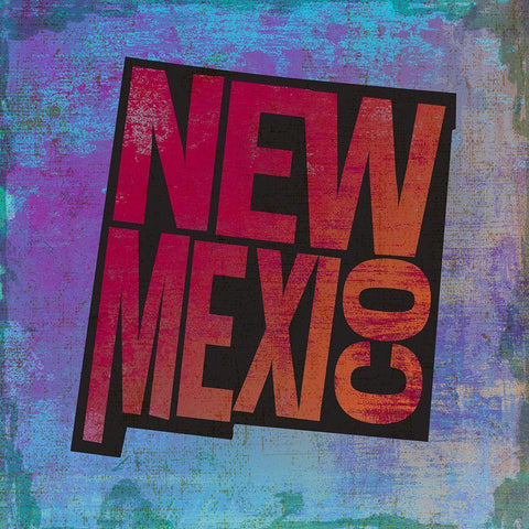 New Mexico White Modern Wood Framed Art Print with Double Matting by Art Licensing Studio