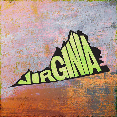 Virginia White Modern Wood Framed Art Print by Art Licensing Studio